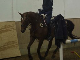 img_4089_web